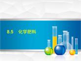 科粤版九年级化学下册8.5 化学肥料 课件
