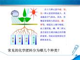 科粤版九年级化学下册8.5 化学肥料 课件