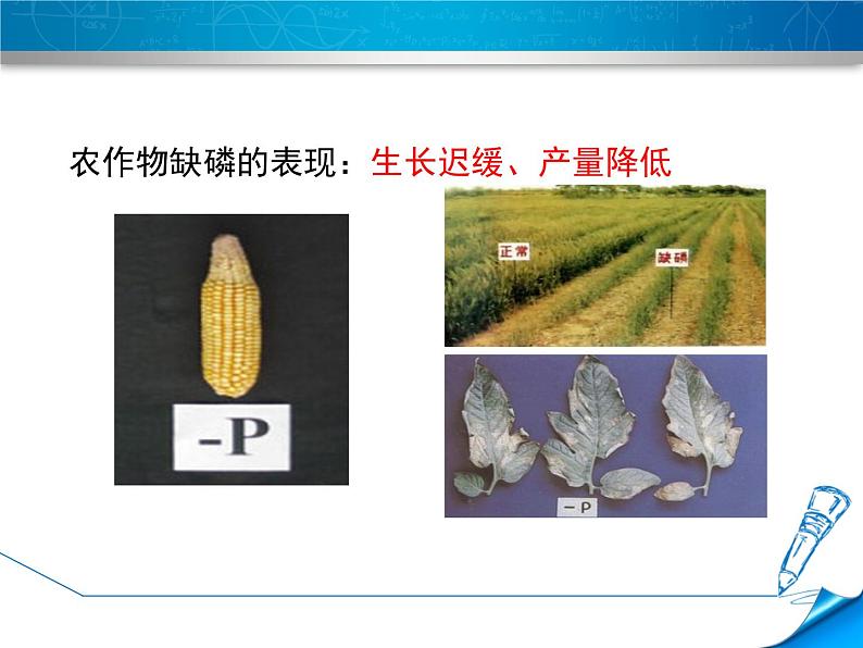 科粤版九年级化学下册8.5 化学肥料 课件08