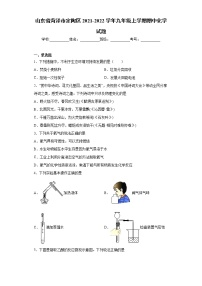 山东省菏泽市定陶区2021-2022学年九年级上学期期中化学试题（word版 含答案）