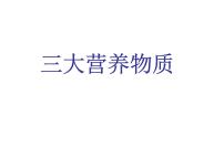 初中化学仁爱湘教版九年级下册专题九 化学与生活单元1 生命必须的营养物质教学演示课件ppt