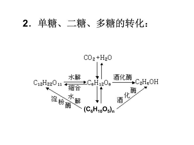 湘教初中化学九下《专题九  单元1 生命必须的营养物质》课件PPT04