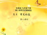 科粤版九年级下册 8.4 常见的盐  第二课时 课件