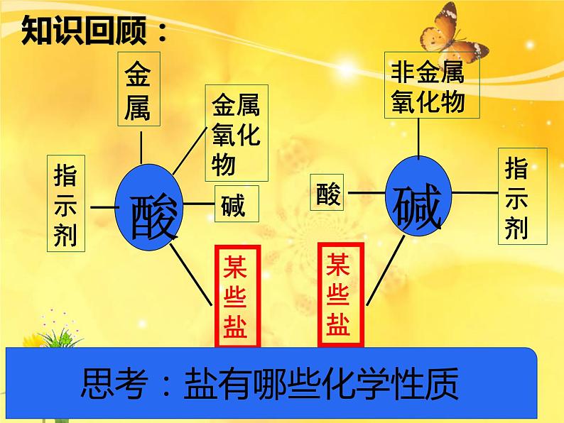 科粤版九年级下册 8.4 常见的盐  第二课时 课件04