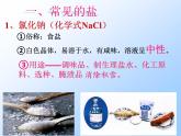 科粤版九年级下册8.4常见的盐 第一课时 课件