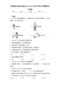 河南省驻马店市汝南县2021-2022学年九年级上学期期中化学试题（word版 含答案）