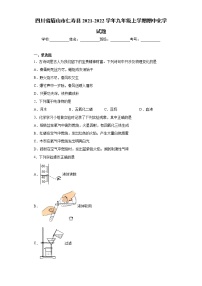 四川省眉山市仁寿县2021-2022学年九年级上学期期中化学试题（word版 含答案）