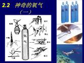 神奇的氧氣PPT課件免費(fèi)下載