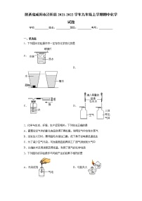 陕西省咸阳市泾阳县2021-2022学年九年级上学期期中化学试题（word版 含答案）