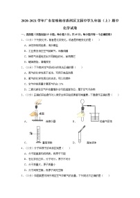 2020-2021学年广东省珠海市香洲区文园中学九年级（上）期中化学试卷