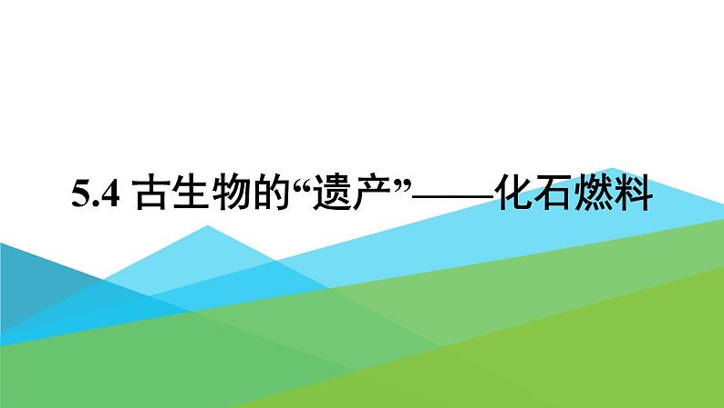 2021年初中化学九年级上册科粤版 第五章 燃料 5.4古生物的“遗产”—化石燃料 课件01