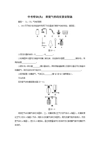 人教版初中化学   中考特训(九)　常见气体的实验室制备练习题