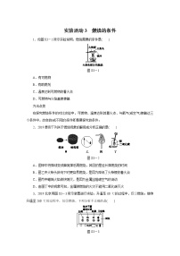 人教版九年级上册实验活动 3 燃烧的条件一课一练