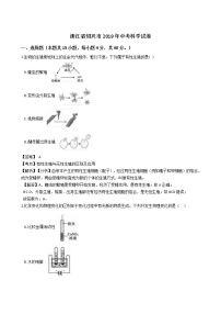 2019年浙江省绍兴市中考科学试题（解析版）