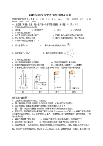 2019年湖北省武汉市中考化学试题（WORD版，含答案）