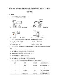 2020-2021学年浙江省杭州市余杭区信达中学九年级（上）期中化学试卷