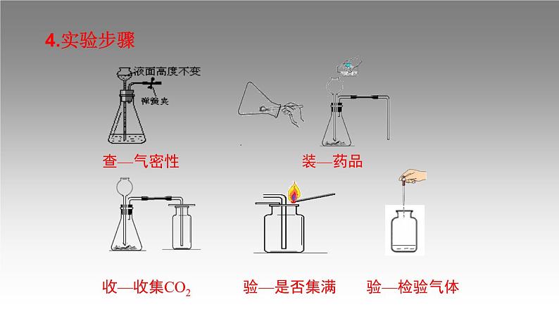 科粤版化学九年级上册《实验三 二氧化碳实验室制取和性质》课件03