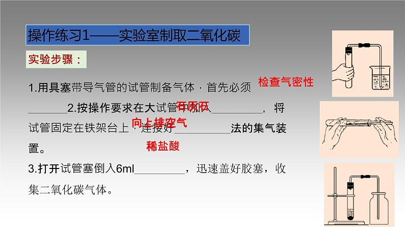 科粤版化学九年级上册《实验三 二氧化碳实验室制取和性质》课件06