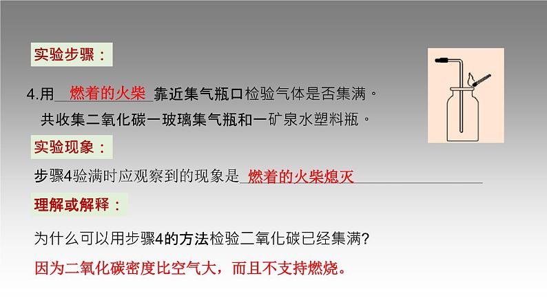 科粤版化学九年级上册《实验三 二氧化碳实验室制取和性质》课件08