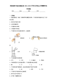 河南省驻马店市确山县2021-2022学年九年级上学期期中化学试题（word版 含答案）