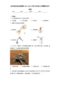 山东省枣庄市薛城区2021-2022学年九年级上学期期中化学试题（word版 含答案）