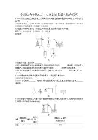 02-专项综合全练(二)实验室制备氧气综合探究