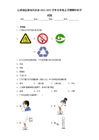 江西省宜春市高安市2021-2022学年九年级上学期期中化学试题（word版 含答案）