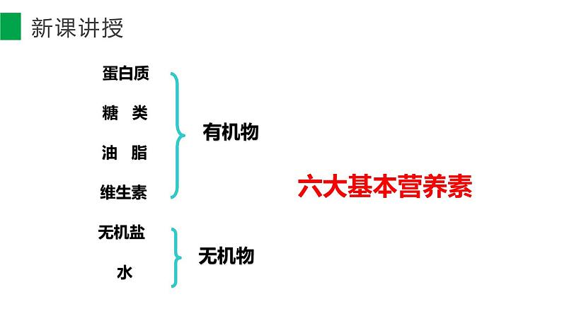 12-1 人类重要的营养物质课件PPT第4页