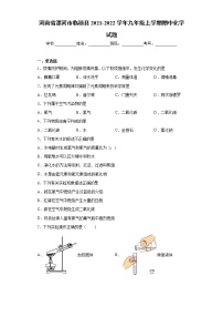 河南省漯河市临颍县2021-2022学年九年级上学期期中化学试题（word版 含答案）