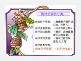 鲁教初中化学九下《第八单元  第1节 海洋化学资源》课件PPT