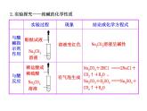 鲁教初中化学九下《第八单元  第3节 海水“制碱“》课件PPT