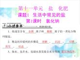 第十一单元 课题1 第1课时 氯化钠 课件