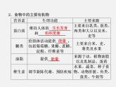 鲁教初中化学九下《 第10单元 化学与健康》课件PPT