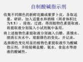 鲁教初中化学九下《第7单元 常见的酸和碱》课件PPT