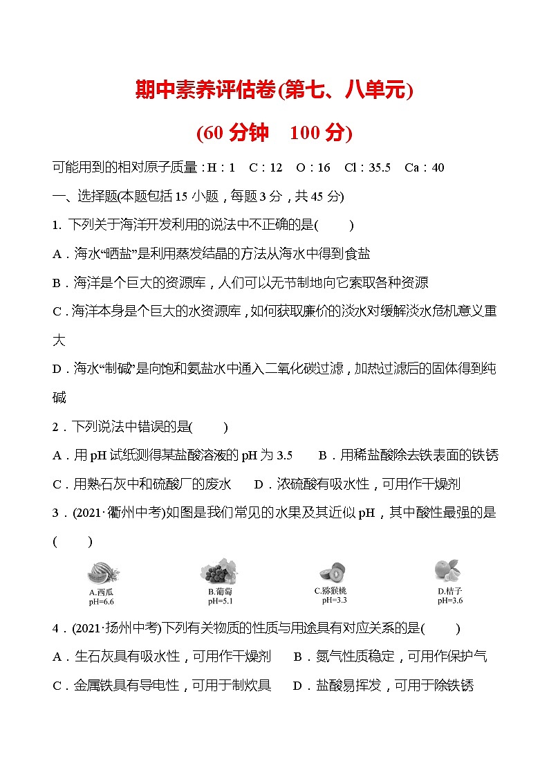期中素养评估卷（第七、八单元） 试卷—2020-2021学年九年级化学鲁教版下册01