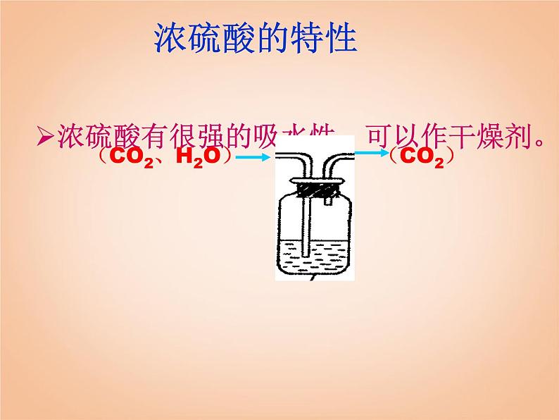 鲁教五四制初中化学九年级全册《第二单元 1 酸及其性质》课件PPT05