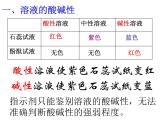 魯教五四制初中化學(xué)九年級全冊《第二單元 3 溶液的酸堿性》課件PPT