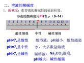 魯教五四制初中化學(xué)九年級全冊《第二單元 3 溶液的酸堿性》課件PPT