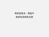 鲁教五四制初中化学九年级全册《第三单元 到实验室去：粗盐中难溶性杂质的去除》课件PPT