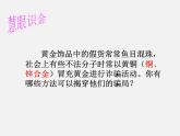 鲁教五四制初中化学九年级全册《第四单元 2 金属的化学性质》课件PPT
