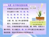 魯教五四制初中化學(xué)九年級(jí)全冊(cè)《第六單元 3 化學(xué)與農(nóng)業(yè)生產(chǎn)》課件PPT