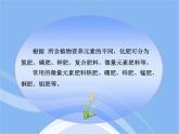 魯教五四制初中化學(xué)九年級(jí)全冊(cè)《第六單元 3 化學(xué)與農(nóng)業(yè)生產(chǎn)》課件PPT
