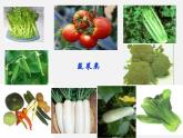 鲁教五四制初中化学九年级全册《第五单元 1 食物中的有机物》课件PPT