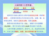 鲁教五四制初中化学九年级全册《第五单元 1 食物中的有机物》课件PPT