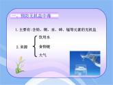 魯教五四制初中化學(xué)九年級(jí)全冊(cè)《第五單元 3 遠(yuǎn)離有毒物質(zhì)》課件PPT
