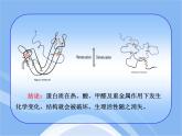 魯教五四制初中化學(xué)九年級(jí)全冊(cè)《第五單元 3 遠(yuǎn)離有毒物質(zhì)》課件PPT