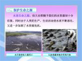鲁教五四制初中化学九年级全册《第六单元 4 化学与环境保护》课件PPT
