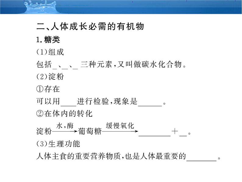 鲁教五四制初中化学九年级全册《第五单元 1 食物中的有机物》课件PPT05