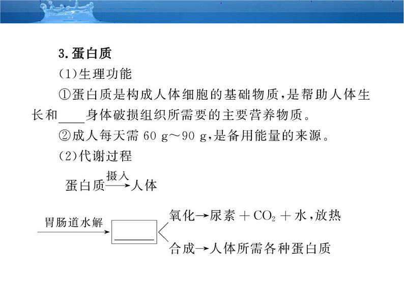 鲁教五四制初中化学九年级全册《第五单元 1 食物中的有机物》课件PPT07