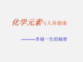 魯教五四制初中化學(xué)九年級(jí)全冊(cè)《第五單元 2 化學(xué)元素與人體健康》課件PPT